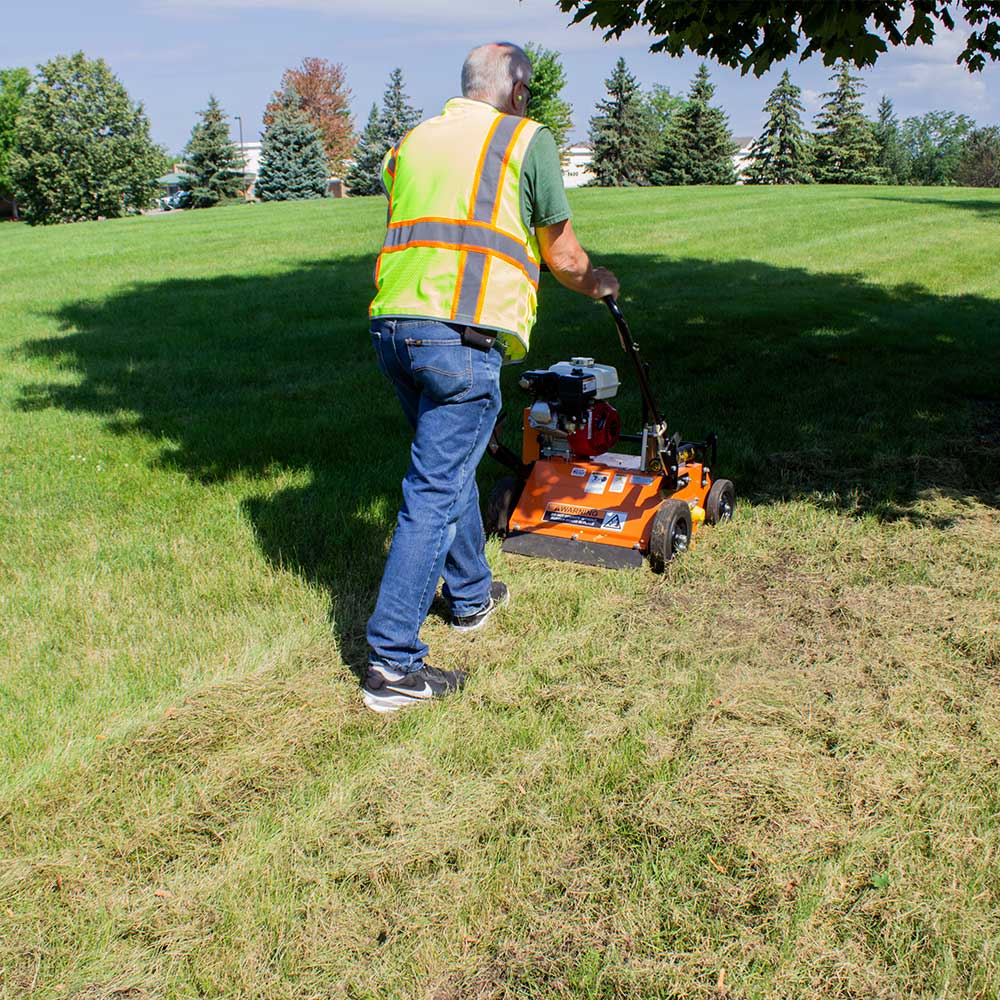 BravePro Power Rake Dethatcher, 20 In. Width, Honda GX160, Model BRPPD20H