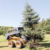 GreyWolf Tree Puller Attachment