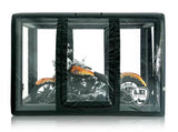 CarCapsule 9 ft Bike ShowCase Indoor Black Cover - BBSH9